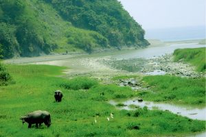 【來去花東】親水活力之旅：水璉牛山