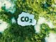 225-社會與環境：零碳進行式　綠領人才夯