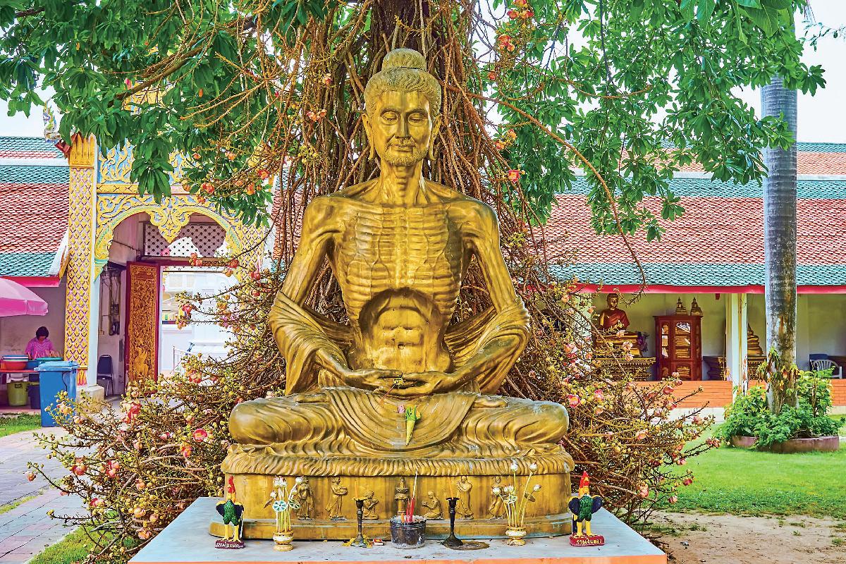 世尊證道前,曾經歷苦修