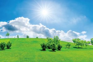 226禪修釋疑：人的生命認知