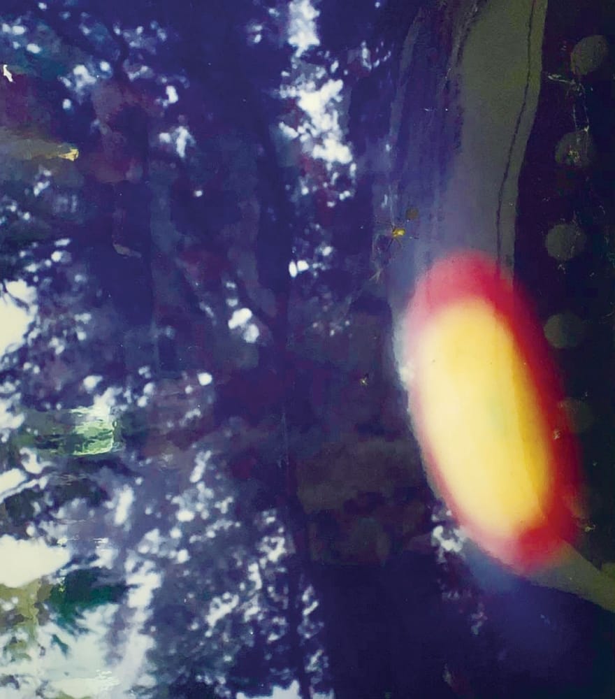 棲蘭神木「孔子」拍到的三色光