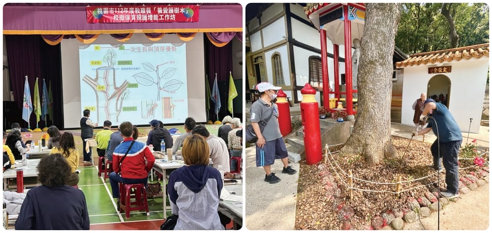 台灣老樹救援協會