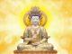 231禪宗經典故事:禪宗第四十二代大師法眼文益禪師:何須待零落 然後始知空