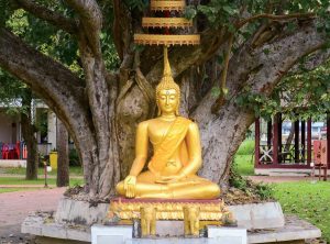 內在清淨的自 性本我