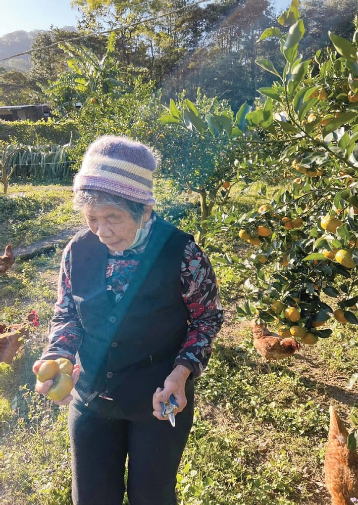 竹東農會產銷班