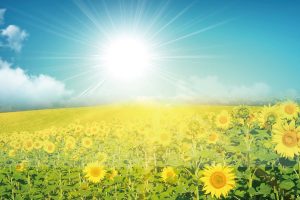 233禪修釋疑：自性皈依是真皈依