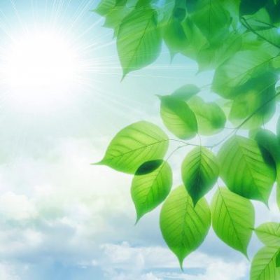 244禪修釋疑：一法清淨　一心解脫