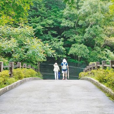 森林療癒師正夯　擁抱大自然提升免疫力、降血糖血壓