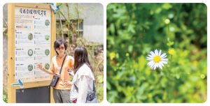 243心靈人物：Yoga Farm快樂農場