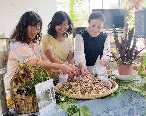 244健康養生：森林療癒師正夯