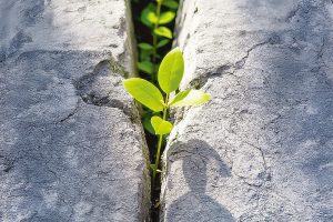 245生活禪話：善惡因果皆在一念之間
