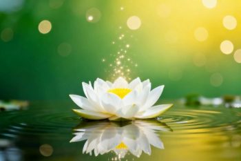 248禪修釋疑：提升靈性得大福報