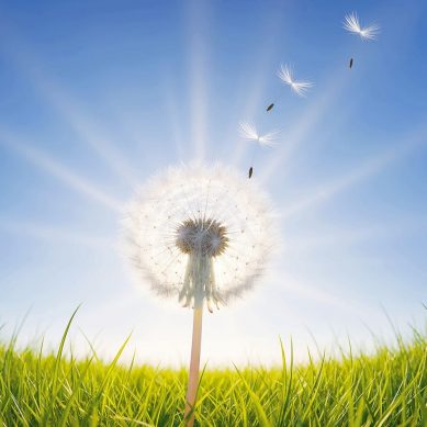 放下執著 隨緣自在