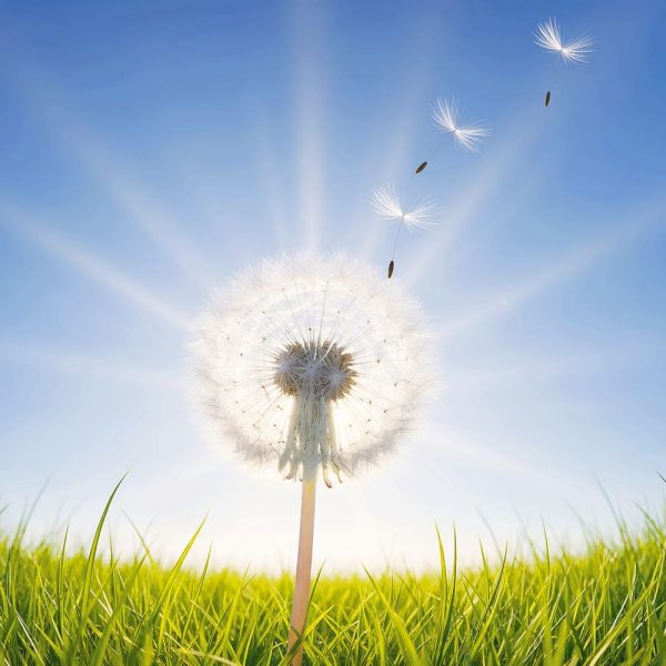 248生活禪話：放下執著　隨緣自在