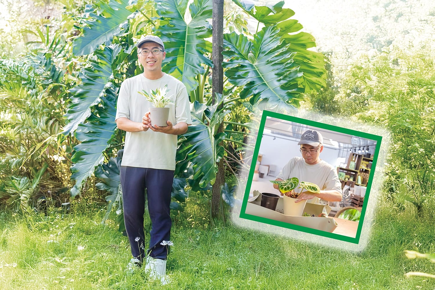 陳兆倫創立宅栽 讓植物走入生活