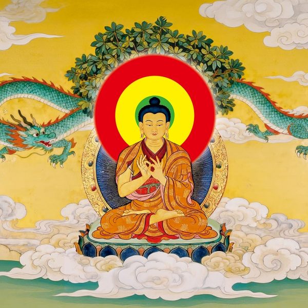 249禪宗經典故事：禪宗第十四代祖師龍樹尊者　於法心不證　無瞋亦無喜