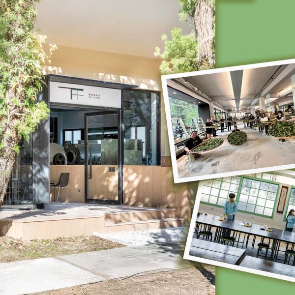 252教育前線：校園再設計　美感教育融入日常