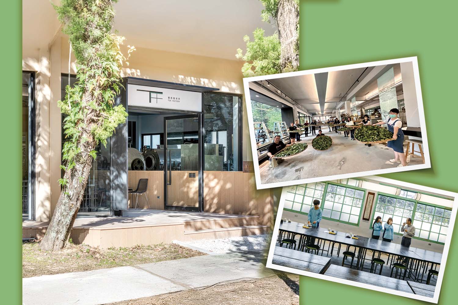 校園再設計　美感教育融入日常