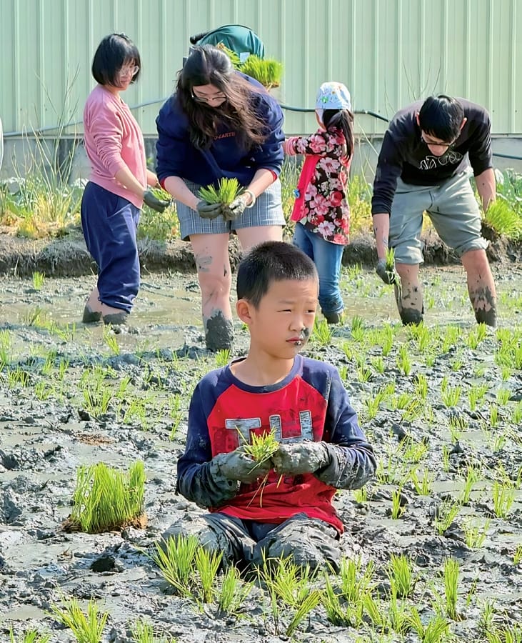 253人文關懷:用心成就有機好米
