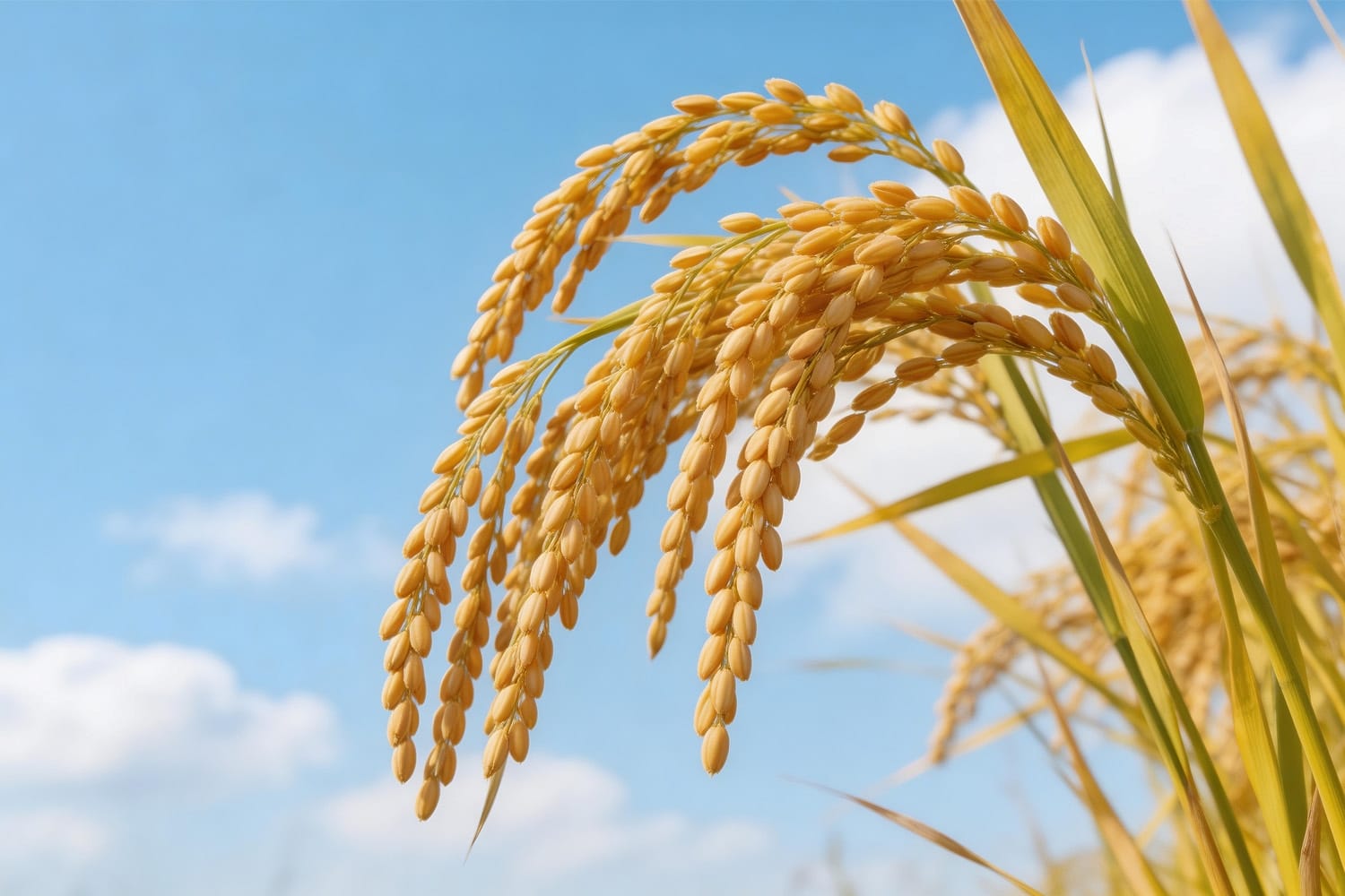 謙卑自持　常思己過